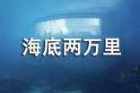 讀《海底兩萬里》有感【必備】