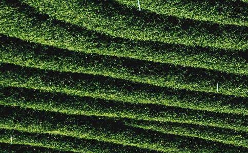 ���~��؛��ͬ14ƪ