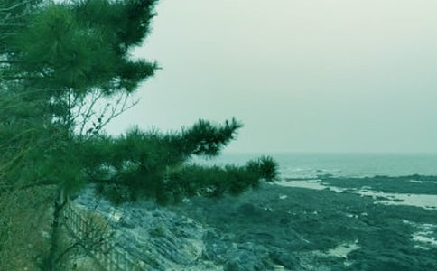 ���崺�L(f��ng)���