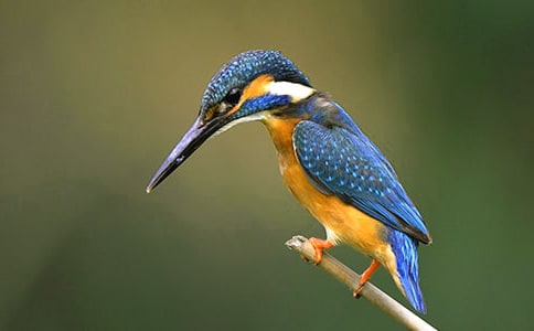 �Z�ġ����B���̰��O(sh��)Ӌ(j��)