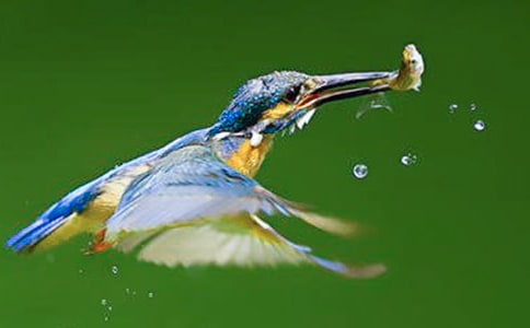 �����B����(y��u)��̰�����