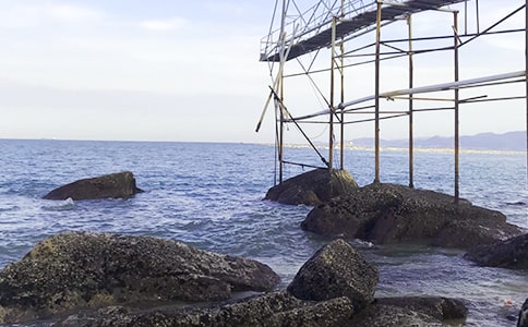 《我家住在大海邊》 的教學(xué)設(shè)計(jì)