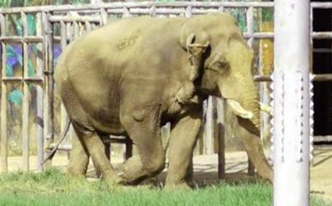 �������С���ӡ����̰�