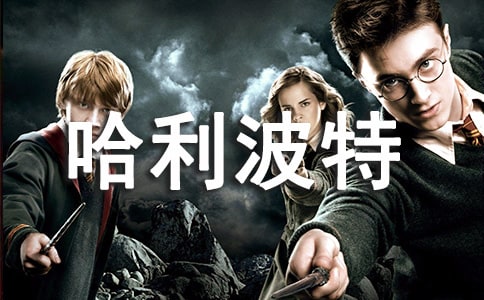 �P(gu��n)�ڹ��������c����ʥ���x���800�֣����x17ƪ��