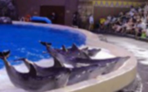 �{(l��n)ɫ�����uС�W(xu��)���x���