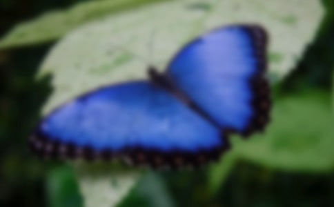 �����ļ҃�(y��u)��̰�