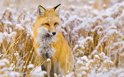 ��؂�͞��fԭ�ļ����g