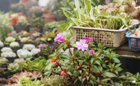 教你無基礎開花店運營計劃