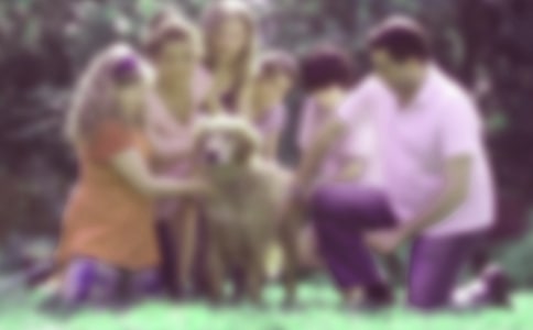 �P(gu��n)�ڼ�ͥ�������ĵ��w�����ģ����x6ƪ��