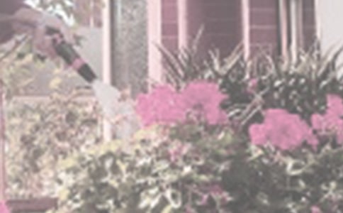 ���_���ĝ������Ľ̌W(xu��)�O(sh��)Ӌ