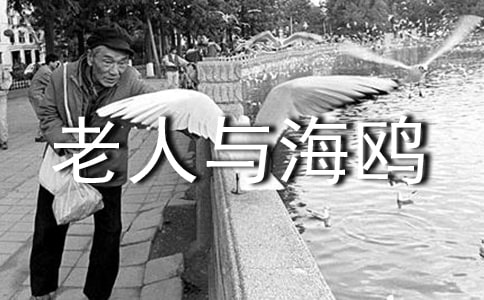 《老人與海鷗》的讀后感范文(通用5篇)
