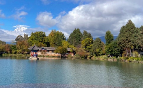 �P(gu��n)�������ųǌ�(d��o)���~15ƪ