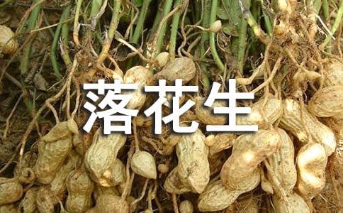 ���仨�������x��з���