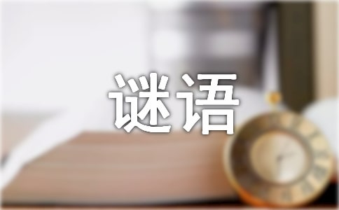 �v�������i�Z��ȫ