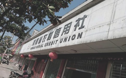 農村信用社實習報告