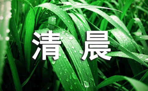 清晨陽光美麗的說說(精選300句)