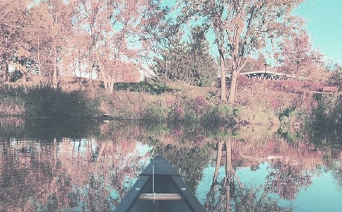 �茑�＾�����.Ԋ