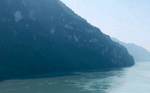 �����{�Č�(d��o)���~11ƪ