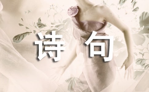�茑��ѩ��Ԋ��