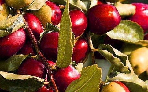 С���Z(y��)���Α�ˮ���衷�̰�