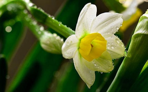 ���p�{(di��o)��ˮ���ӡ�ҹ�꡷�p��