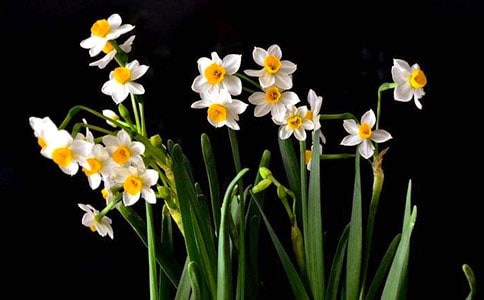 ���p�{(di��o)��ˮ���ӡ��I�r(sh��)���g�ļ�ע��b�p