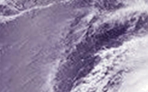 臺(tái)風(fēng)來(lái)襲500字作文