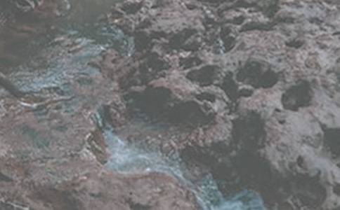 ��СϪ���ĸ衷��(y��u)��̰�