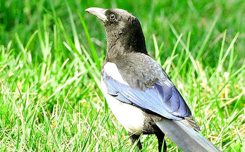 ���P(gu��n)ϲ�oͯԒ������ƪ