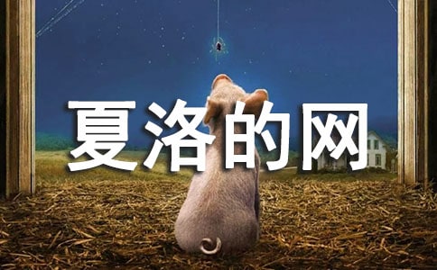 ������ľW(w��ng)���x��У��R��15ƪ��