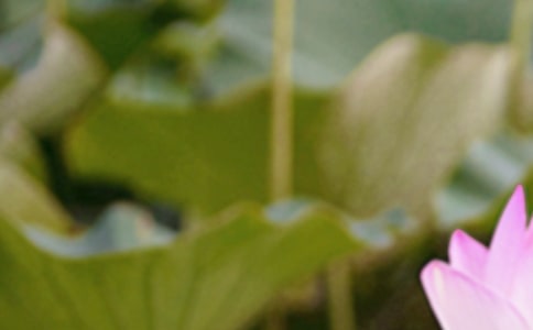 ��ȥ����ů�ĵľ���