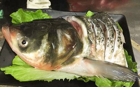 千島湖魚頭作文