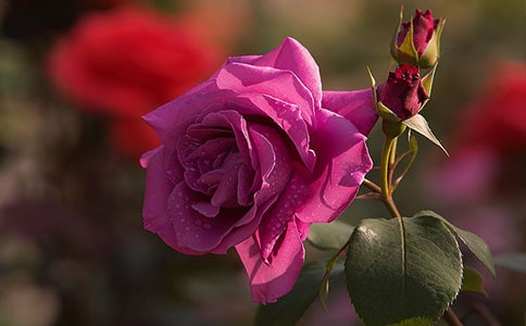 һ��������(y��ng)���¼�Ԋ(sh��)��