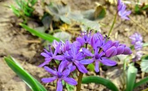 �����T���簲������Ӷ����\��57�l