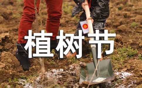 植樹節(jié)教案