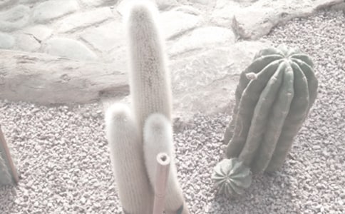 �ҵ��n�������ֲ��@800������