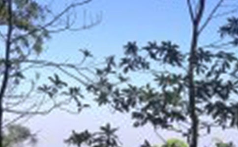 描寫(xiě)中午的句子摘錄