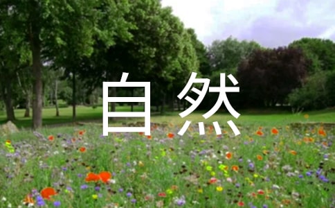 關(guān)于寫大自然的成語