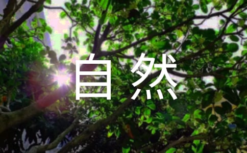 ��Ȼ������