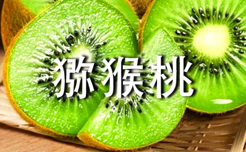 �����T���J��������11ƪ