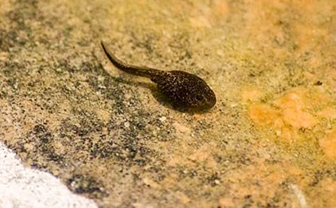 С�����ˎ��-���꼉(j��)